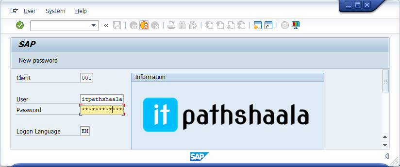 sap logon window